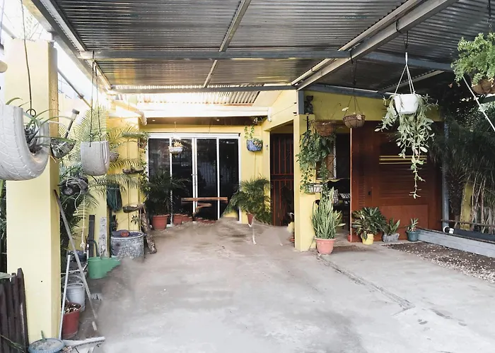 Paraiso Tropical